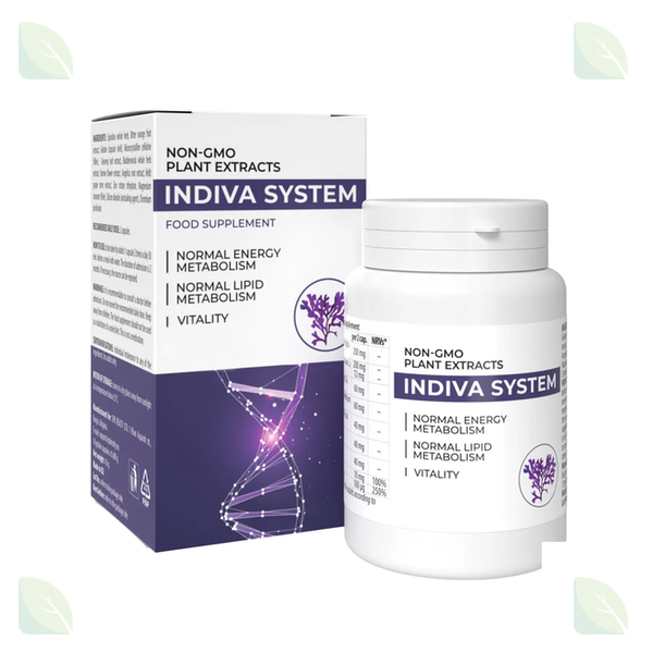 InDiva System