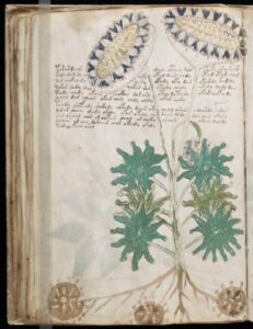 manoscritto Voynich